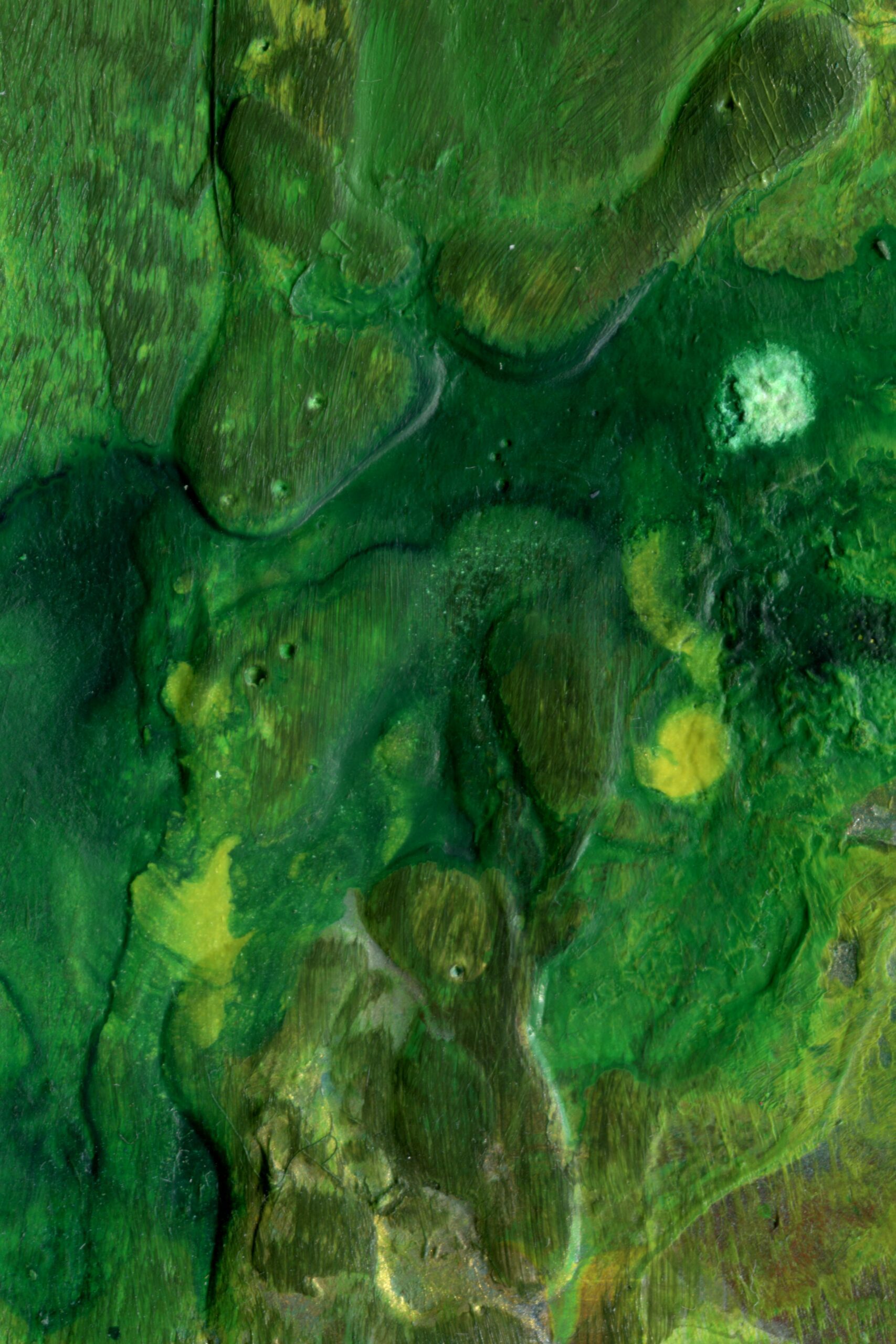 Green texture resembles of Algae